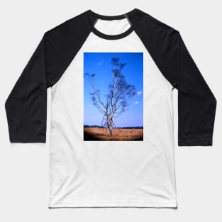 Birch-tree Baseball T-Shirt